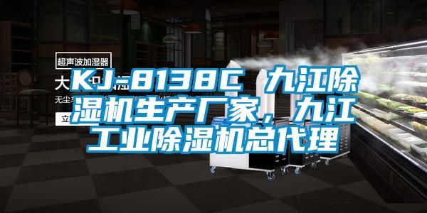 KJ-8138C 九江除濕機生產(chǎn)廠家，九江工業(yè)除濕機總代理
