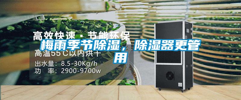 梅雨季節(jié)除濕，除濕器更管用
