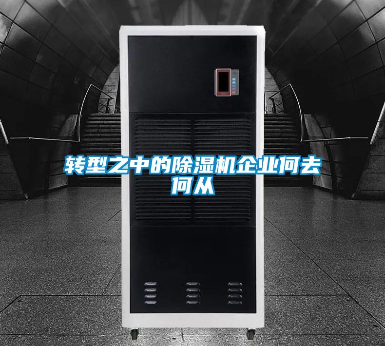 轉(zhuǎn)型之中的除濕機企業(yè)何去何從