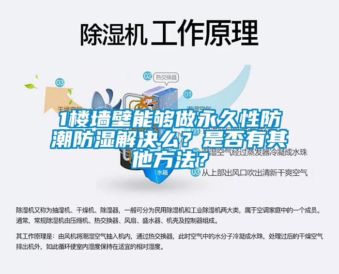 1樓墻壁能夠做永久性防潮防濕解決么？是否有其他方法？