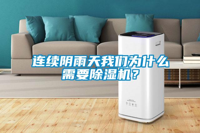 連續(xù)陰雨天我們?yōu)槭裁葱枰凉駲C(jī)？