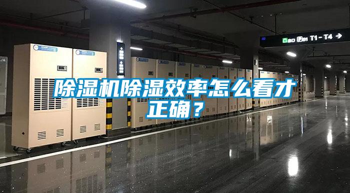 除濕機(jī)除濕效率怎么看才正確？