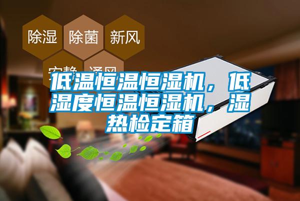 低溫恒溫恒濕機(jī)，低濕度恒溫恒濕機(jī)，濕熱檢定箱