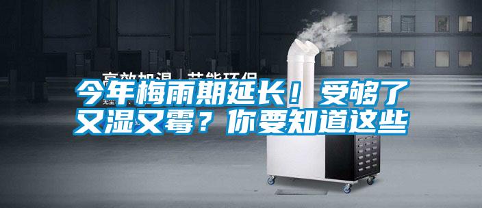 今年梅雨期延長！受夠了又濕又霉？你要知道這些