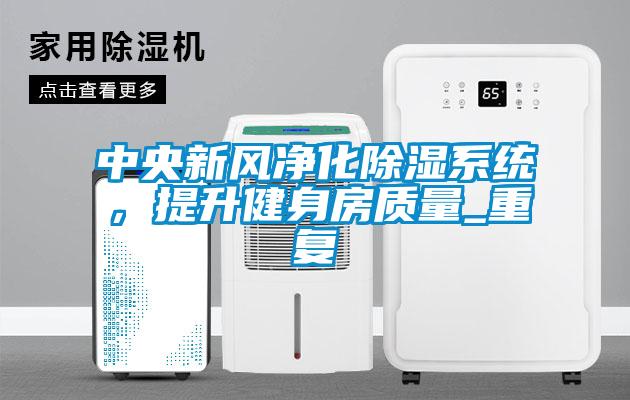 中央新風凈化除濕系統(tǒng)，提升健身房質量_重復