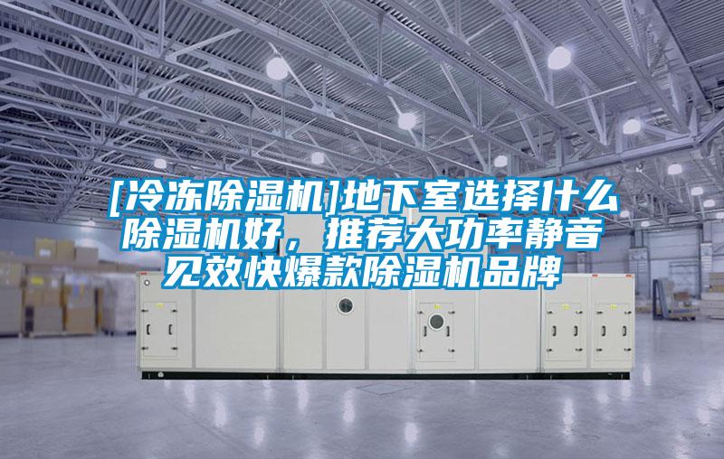 [冷凍除濕機]地下室選擇什么除濕機好，推薦大功率靜音見效快爆款除濕機品牌