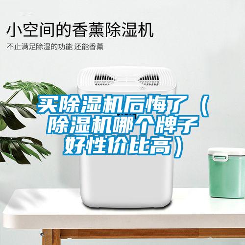 買除濕機(jī)后悔了（除濕機(jī)哪個牌子好性價比高）