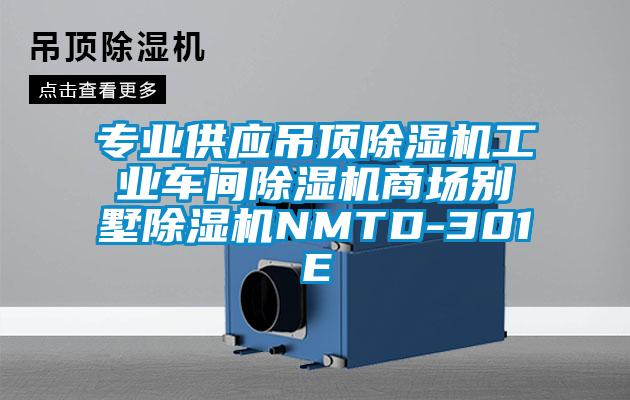 專業(yè)供應吊頂除濕機工業(yè)車間除濕機商場別墅除濕機NMTD-301E