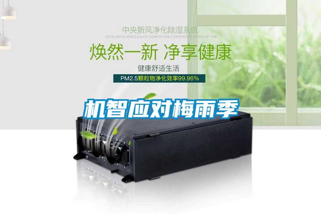 機(jī)智應(yīng)對梅雨季