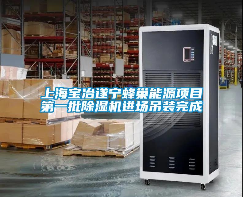 上海寶冶遂寧蜂巢能源項目第一批除濕機進(jìn)場吊裝完成