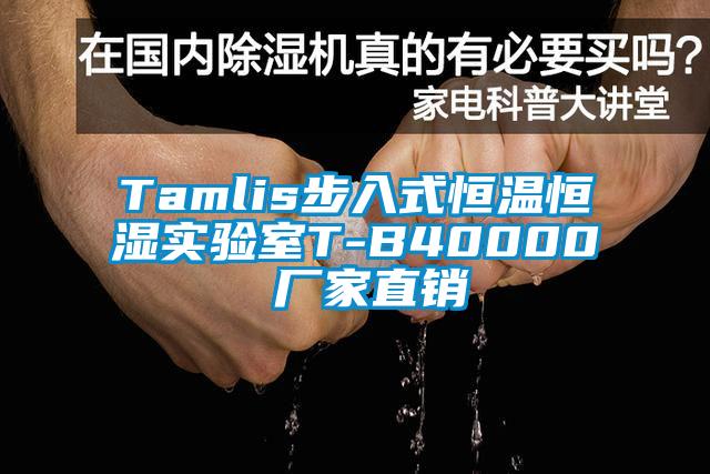 Tamlis步入式恒溫恒濕實驗室T-B40000 廠家直銷