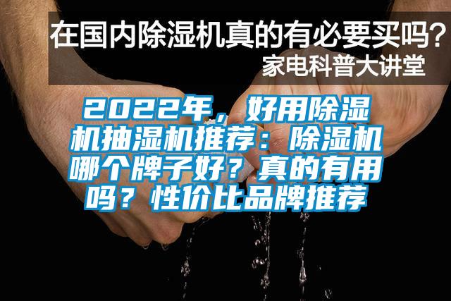 2022年，好用除濕機(jī)抽濕機(jī)推薦：除濕機(jī)哪個牌子好？真的有用嗎？性價比品牌推薦