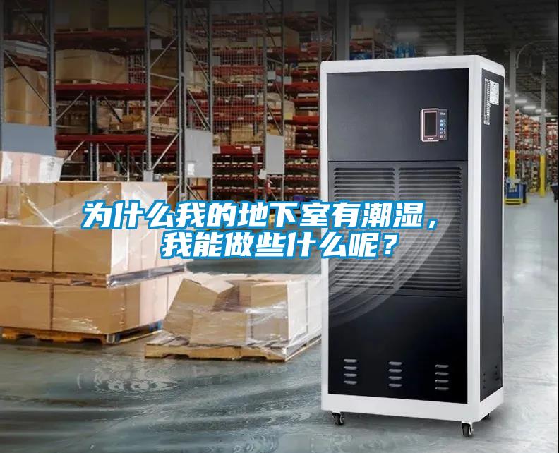 為什么我的地下室有潮濕， 我能做些什么呢？