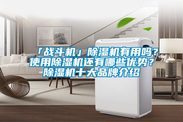 「戰(zhàn)斗機(jī)」除濕機(jī)有用嗎？使用除濕機(jī)還有哪些優(yōu)勢(shì)？除濕機(jī)十大品牌介紹