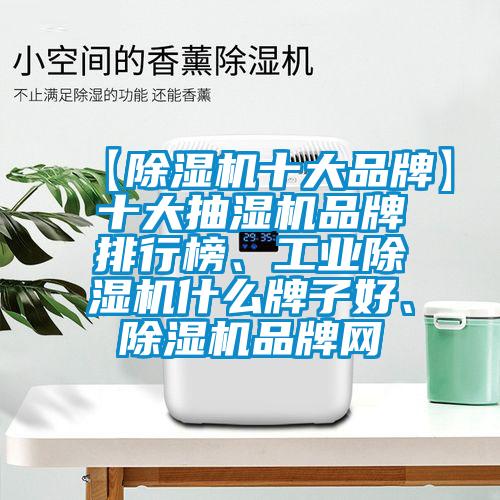【除濕機(jī)十大品牌】十大抽濕機(jī)品牌排行榜、工業(yè)除濕機(jī)什么牌子好、除濕機(jī)品牌網(wǎng)