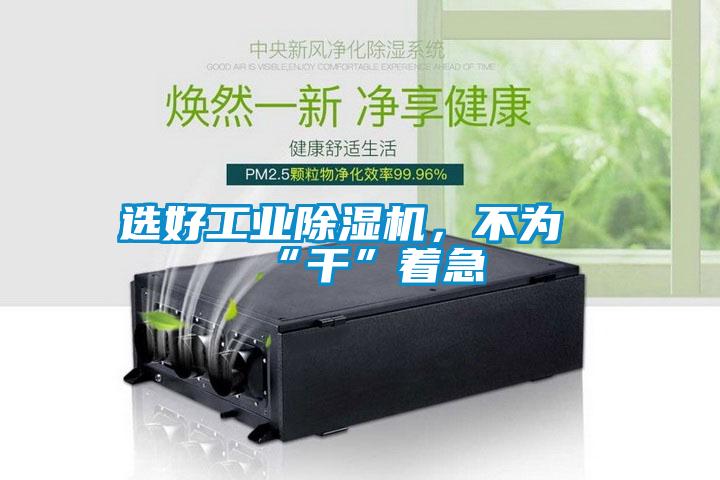 選好工業(yè)除濕機(jī)，不為“干”著急