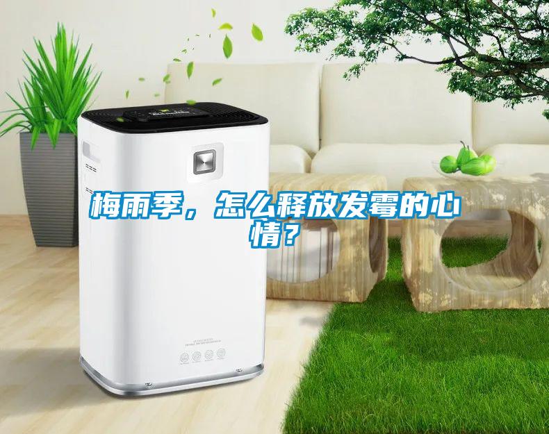 梅雨季，怎么釋放發(fā)霉的心情？