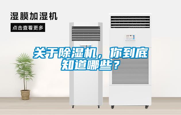 關(guān)于除濕機，你到底知道哪些？
