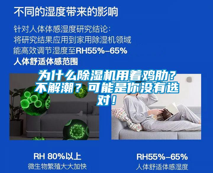 為什么除濕機(jī)用著雞肋？不解潮？可能是你沒有選對(duì)！