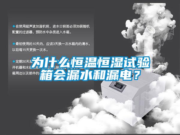 為什么恒溫恒濕試驗箱會漏水和漏電？