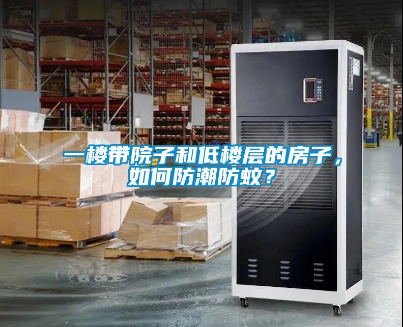 一樓帶院子和低樓層的房子，如何防潮防蚊？