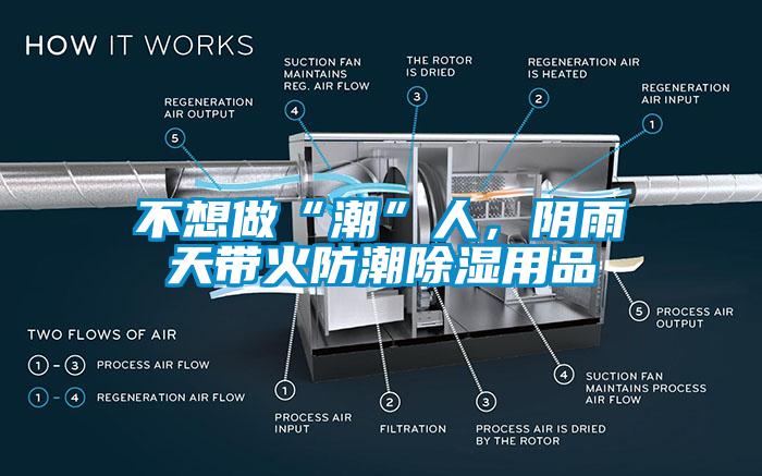 不想做“潮”人，陰雨天帶火防潮除濕用品