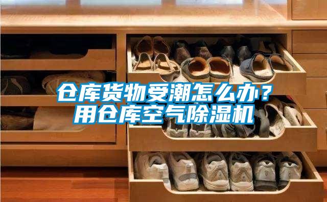 倉庫貨物受潮怎么辦？用倉庫空氣除濕機(jī)