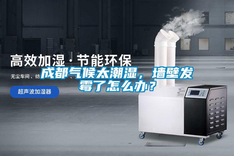 成都?xì)夂蛱睗?，墻壁發(fā)霉了怎么辦？