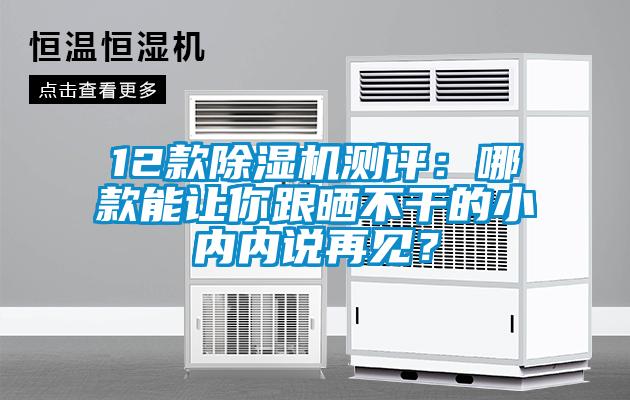 12款除濕機(jī)測(cè)評(píng)：哪款能讓你跟曬不干的小內(nèi)內(nèi)說(shuō)再見(jiàn)？