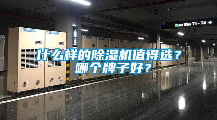 什么樣的除濕機(jī)值得選？ 哪個(gè)牌子好？