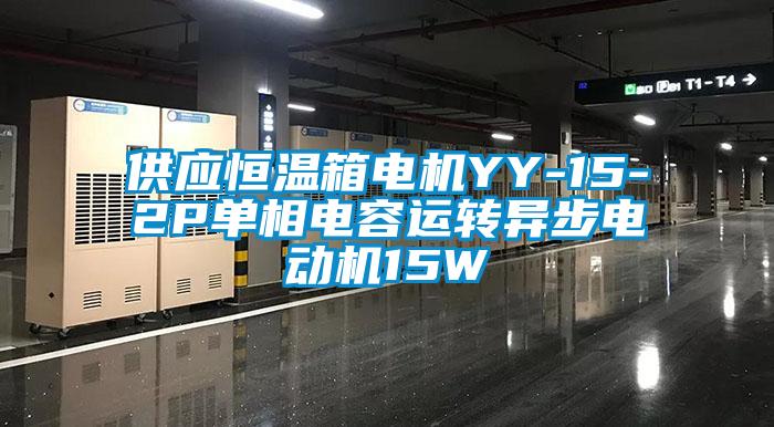供應(yīng)恒溫箱電機YY-15-2P單相電容運轉(zhuǎn)異步電動機15W