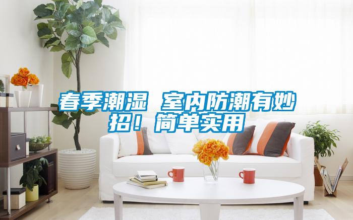 春季潮濕 室內(nèi)防潮有妙招！簡單實(shí)用