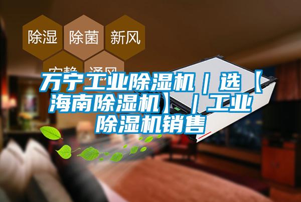 萬寧工業(yè)除濕機(jī)｜選【海南除濕機(jī)】｜工業(yè)除濕機(jī)銷售