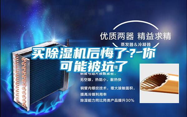 買(mǎi)除濕機(jī)后悔了？你可能被坑了