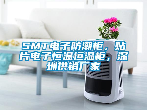 SMT電子防潮柜，貼片電子恒溫恒濕柜，深圳供銷廠家