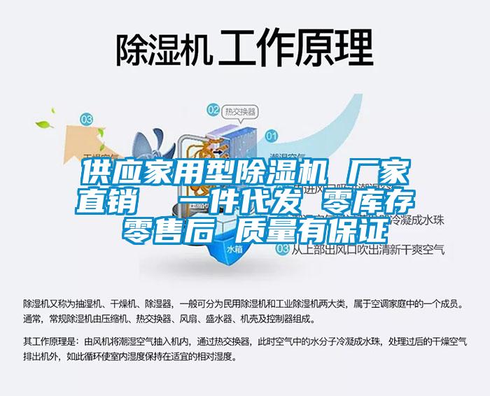 供應家用型除濕機 廠家直銷  一件代發(fā) 零庫存 零售后 質量有保證