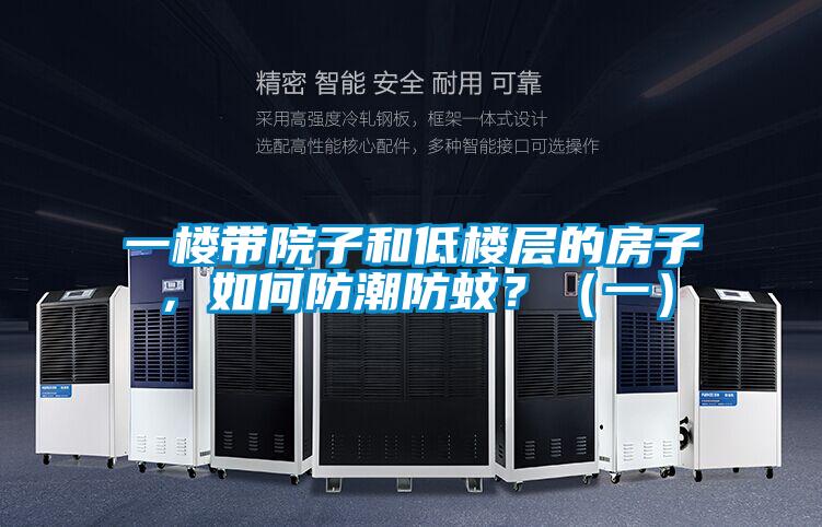 一樓帶院子和低樓層的房子，如何防潮防蚊？（一）