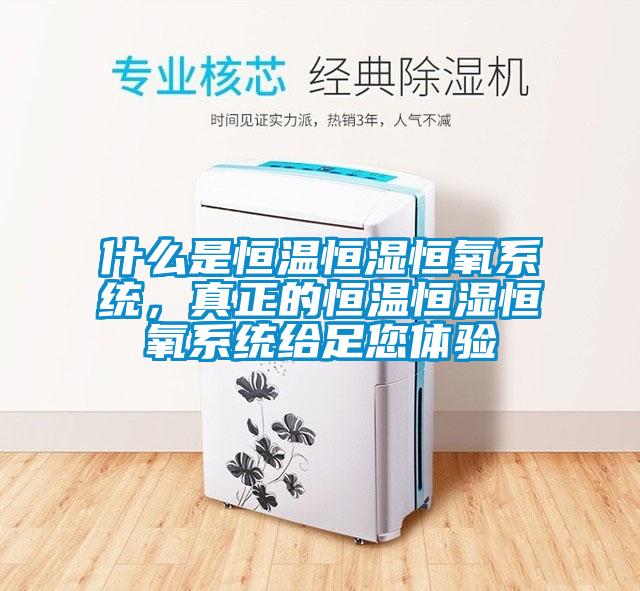 什么是恒溫恒濕恒氧系統(tǒng)，真正的恒溫恒濕恒氧系統(tǒng)給足您體驗(yàn)