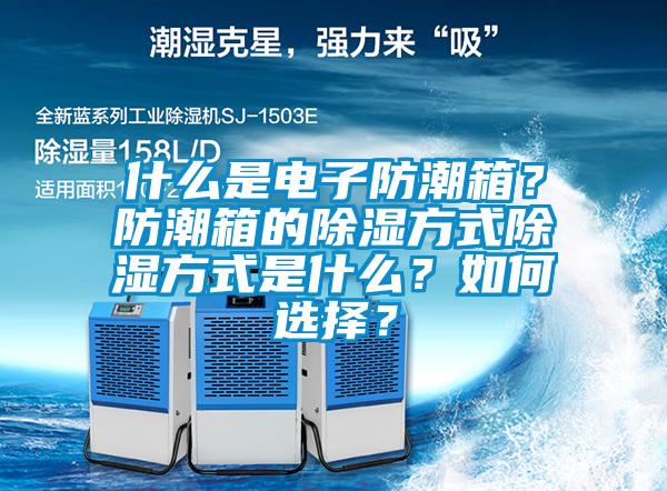 什么是電子防潮箱？防潮箱的除濕方式除濕方式是什么？如何選擇？