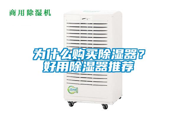 為什么購買除濕器？好用除濕器推薦