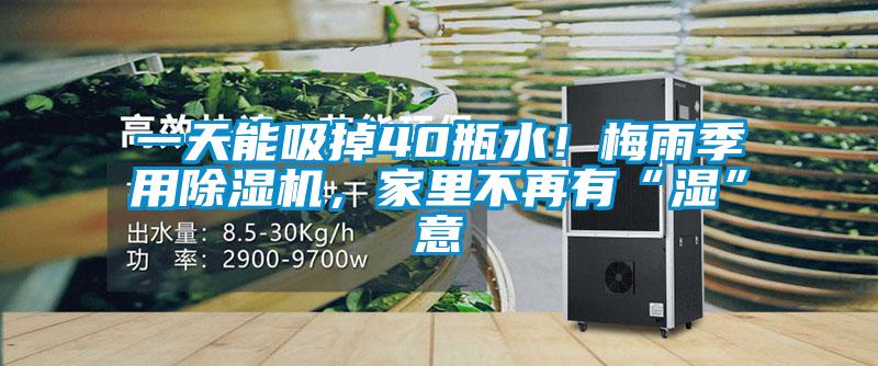 一天能吸掉40瓶水！梅雨季用除濕機(jī)，家里不再有“濕”意