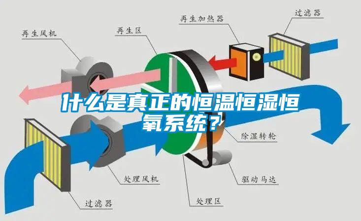 什么是真正的恒溫恒濕恒氧系統(tǒng)？