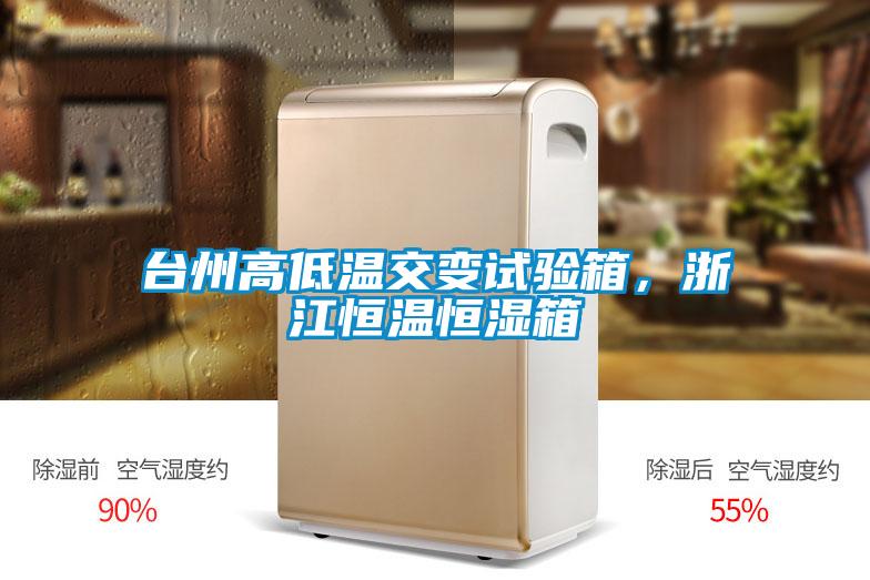 臺州高低溫交變試驗箱，浙江恒溫恒濕箱