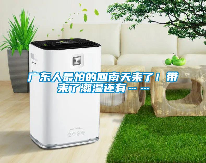 廣東人最怕的回南天來了！帶來了潮濕還有……