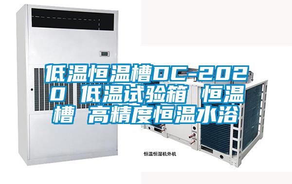 低溫恒溫槽DC-2020 低溫試驗(yàn)箱 恒溫槽 高精度恒溫水浴