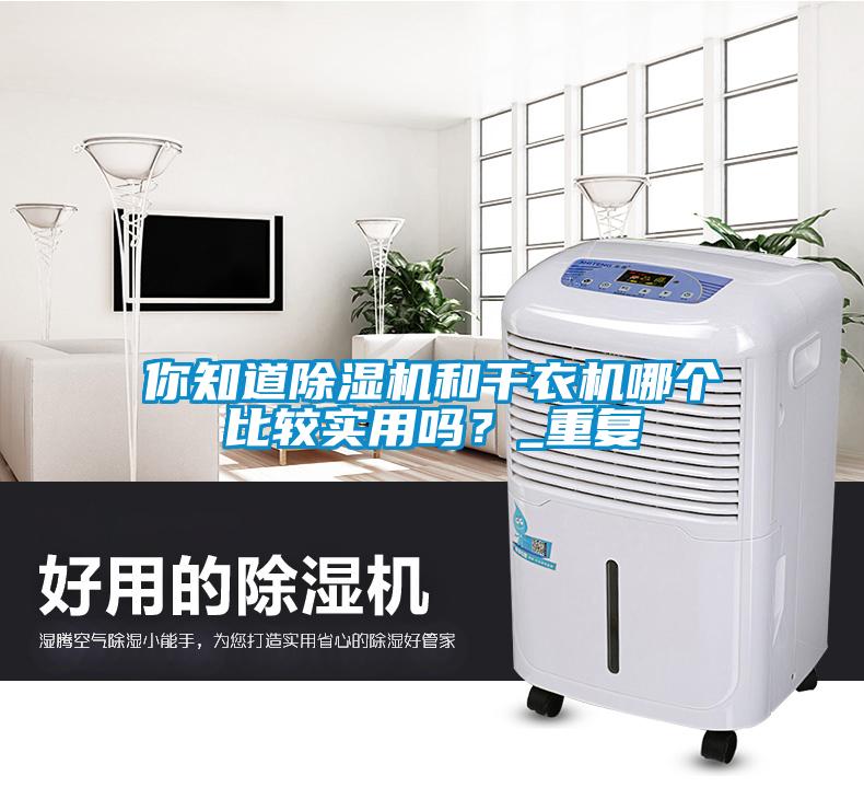 你知道除濕機(jī)和干衣機(jī)哪個(gè)比較實(shí)用嗎？_重復(fù)