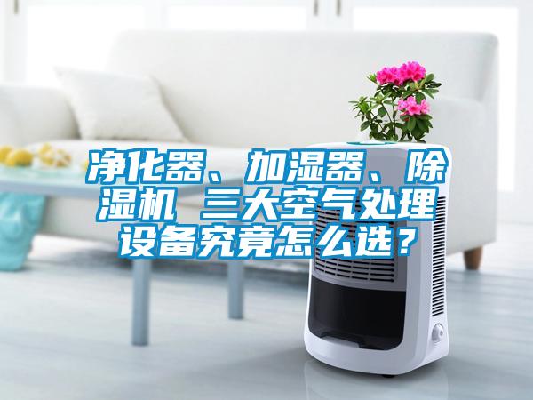 凈化器、加濕器、除濕機(jī) 三大空氣處理設(shè)備究竟怎么選？