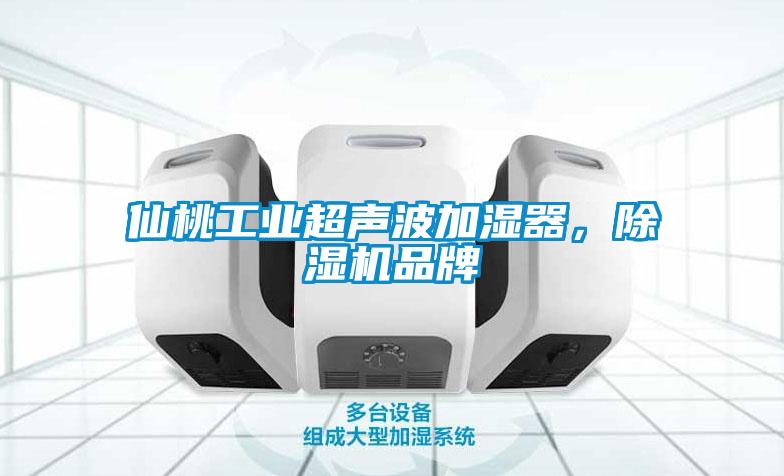 仙桃工業(yè)超聲波加濕器，除濕機品牌