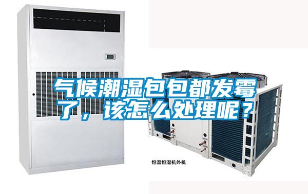 氣候潮濕包包都發(fā)霉了，該怎么處理呢？