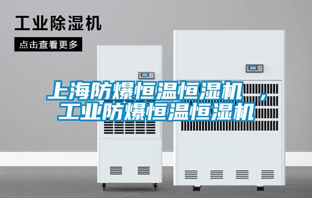 上海防爆恒溫恒濕機(jī) ，工業(yè)防爆恒溫恒濕機(jī)